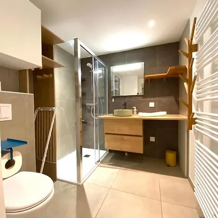 Astoria - Parking, Velos, Jardin Et Terrasse * Annecy